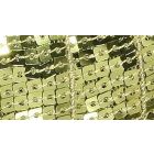 Galon Paillettes 22 mm Vert Paillettes x1m