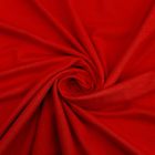 Tissu Jersey Viscose uni Rouge x10cm
