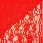 Tissu Dentelle Eva Corail - Par 10 cm