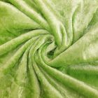 Panne de velours Vert pastel x10cm