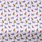 Tissu Jersey coton Bio envers molletonné Chats multicolore tachetés sur fond Blanc - Par 10 cm