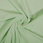 Tissu Jersey Velours tout doux Menthe à l'eau x10cm