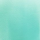Simili cuir d'ameublement uni Menthe - Par 50 cm
